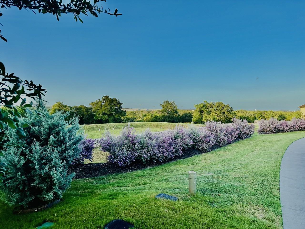 429 Pink Granite Blvd #NA - Photo 4 of 37