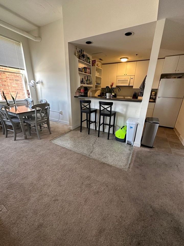 415 E. Grace Street - Photo 6 of 50