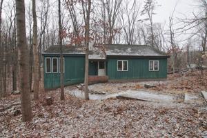 featured image of Davida Pines Dr