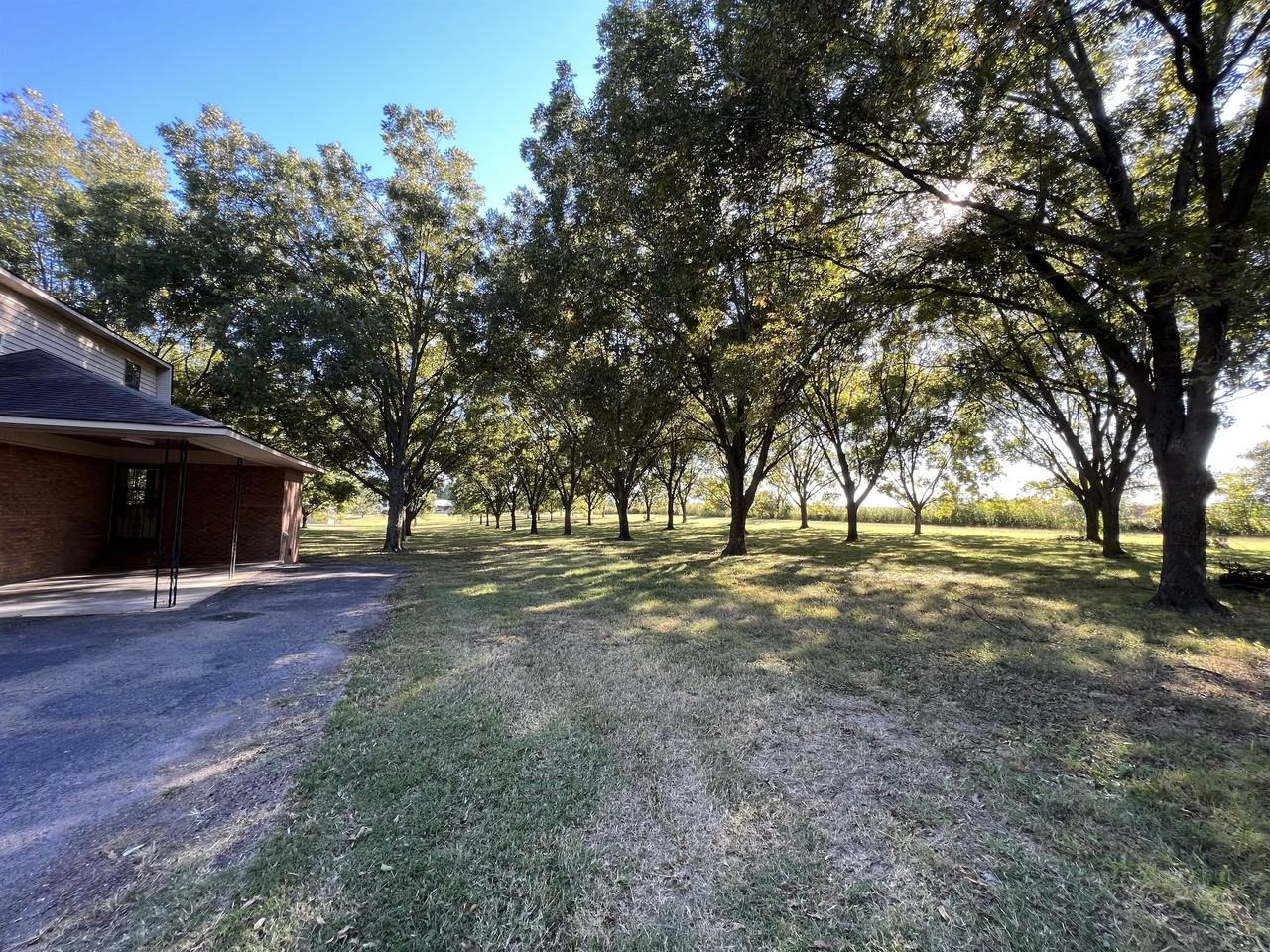 1803 Thomas Ln #B - Photo 4 of 19