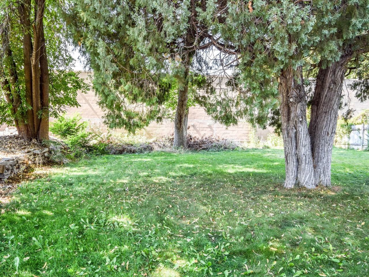 271 Northeast - Photo 5 of 11