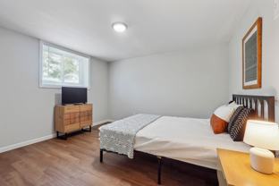 Private Bedroom For Professional (Bedroom #5 - Photo 1 of 1