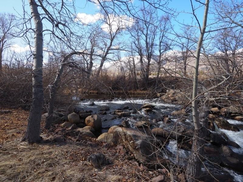 6849 Diamond Valley Rd #NA - Photo 2 of 13