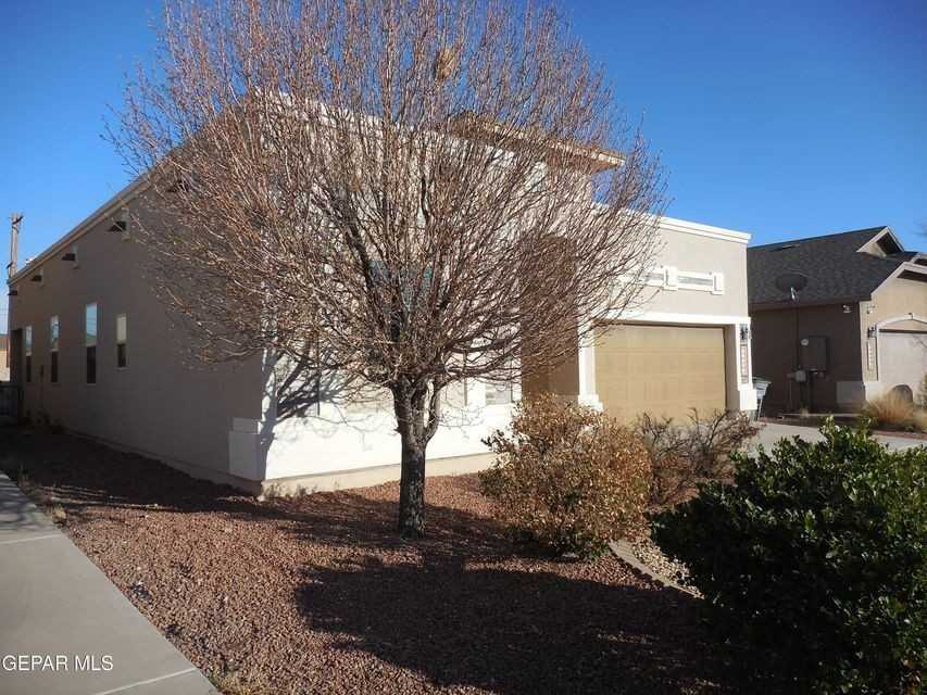 11332 Blue Barrel Street - Photo 3 of 26