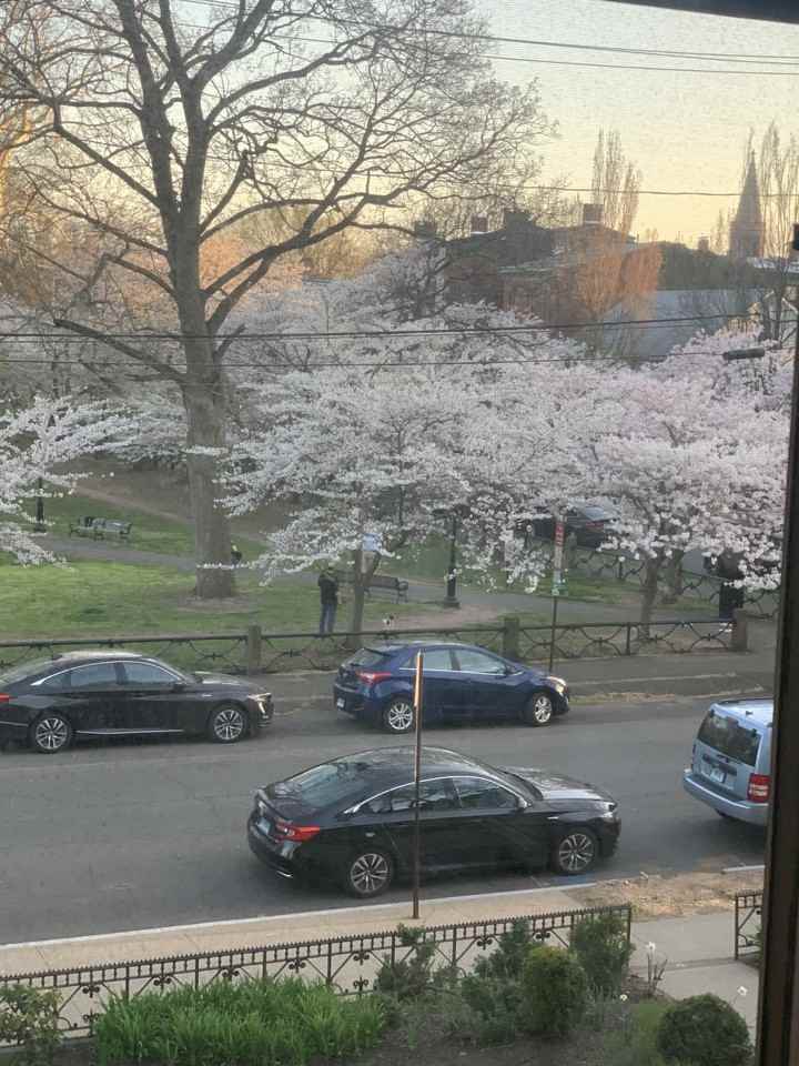 311 Greene St #A2 - Photo 4 of 22