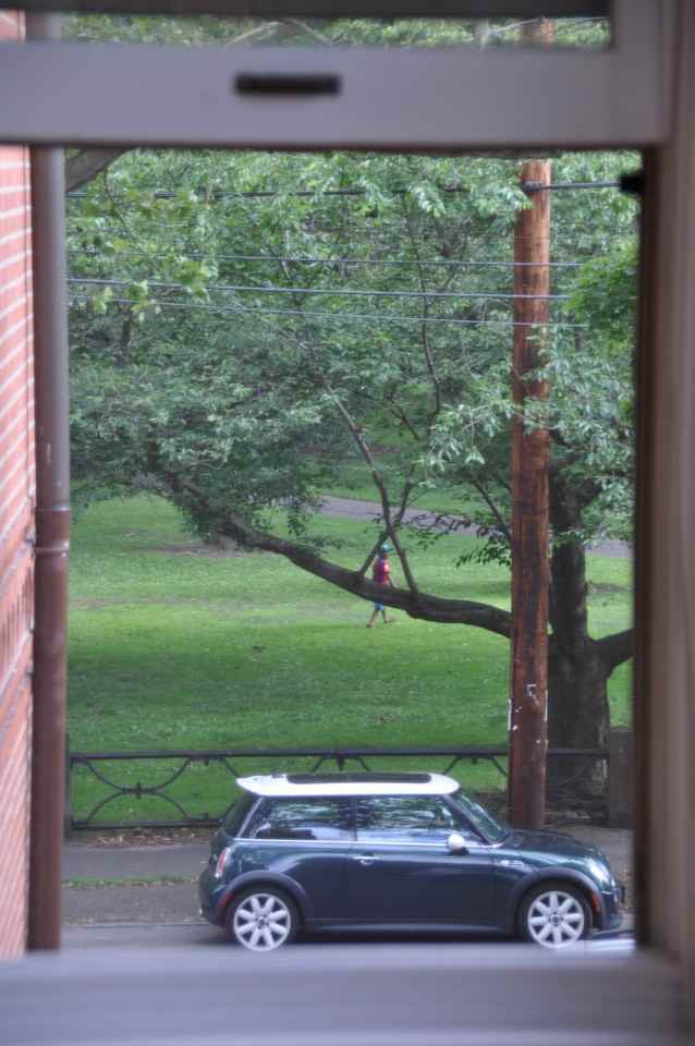 311 Greene St #A2 - Photo 5 of 22