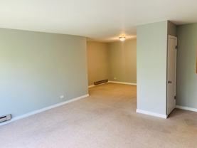Lemont State Street Apartments - Photo 1 of 1
