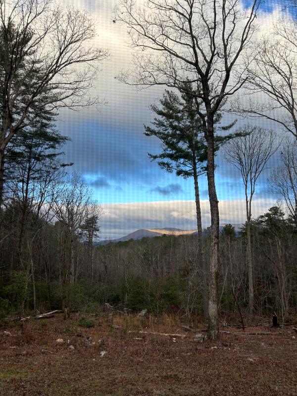 361 Rising Star Rd - Photo 2 of 10