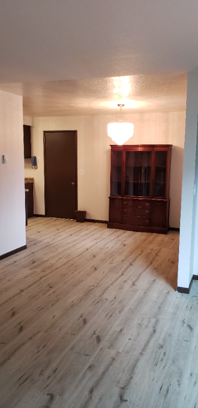 1115 1st St Ne - Photo 3 of 10