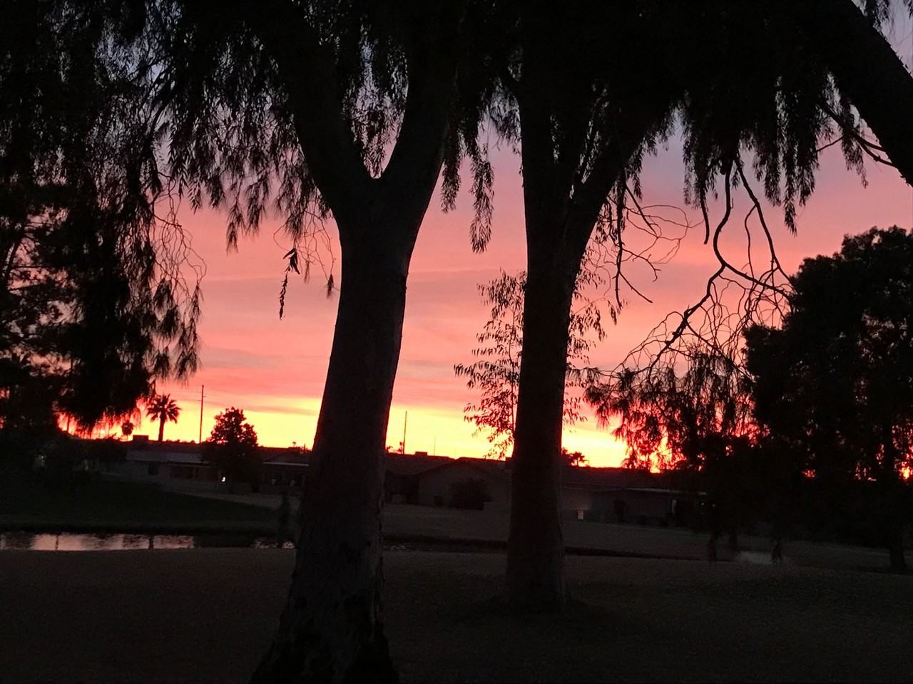 1396 Leisure World - Photo 5 of 40