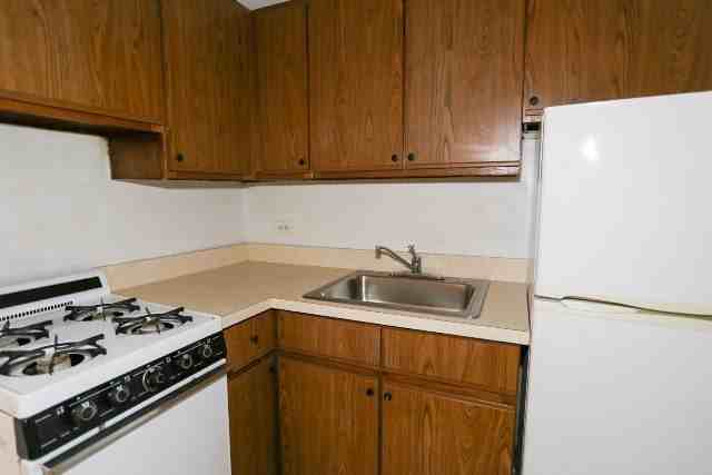 1164 N Dearborn St #216 - Photo 3 of 15