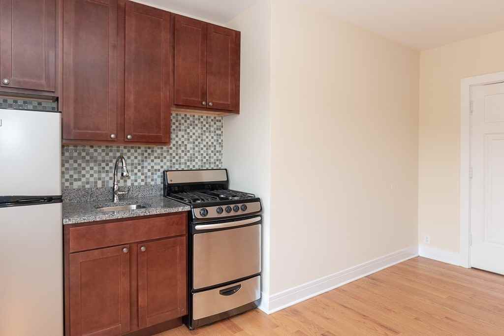 4546 N Damen Ave #304 - Photo 4 of 15