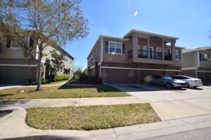 featured image of 1570 Scarlet Oak Loop #66C