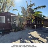 Magnolia 11900-11906 - Photo 1 of 1