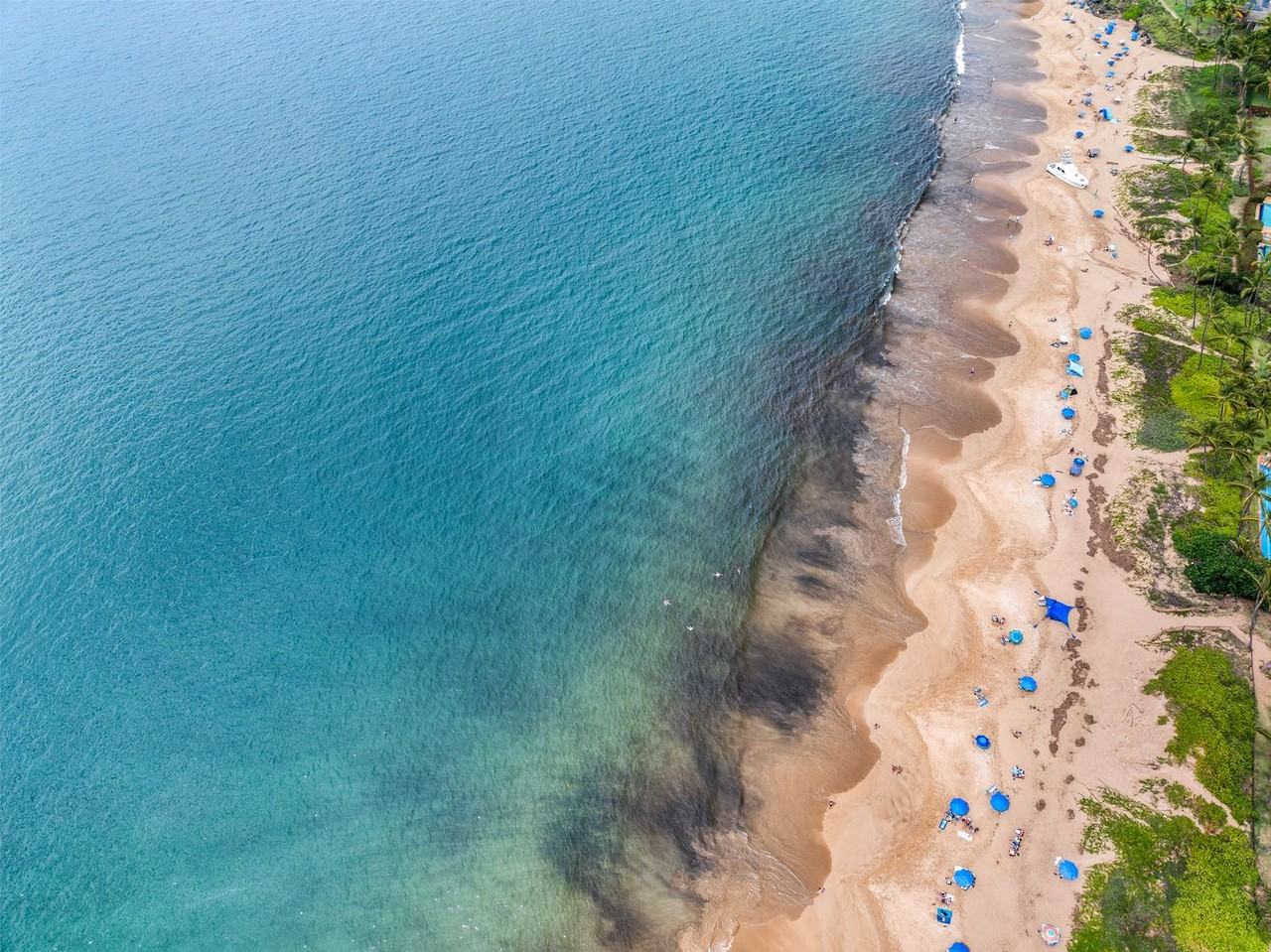 10 Upena Ln #302 - Photo 4 of 20