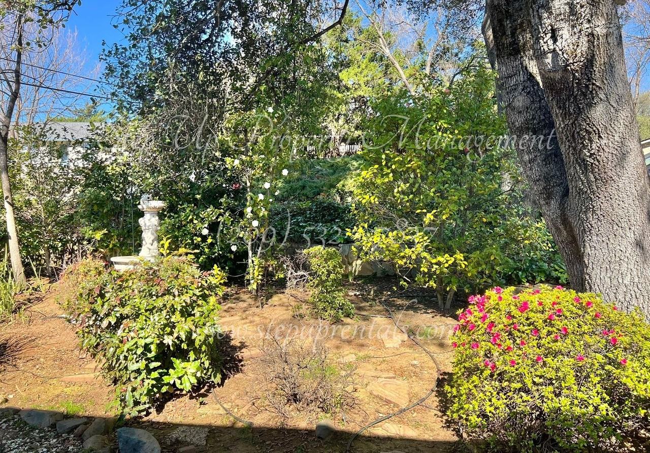 11145 Currey Dr - Photo 3 of 7