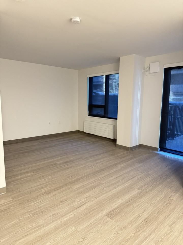 1045 Nelson St - Photo 5 of 20