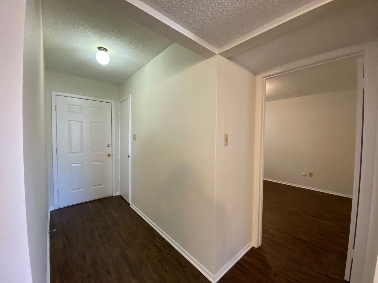 226 Blue Bonnet - Photo 2 of 19