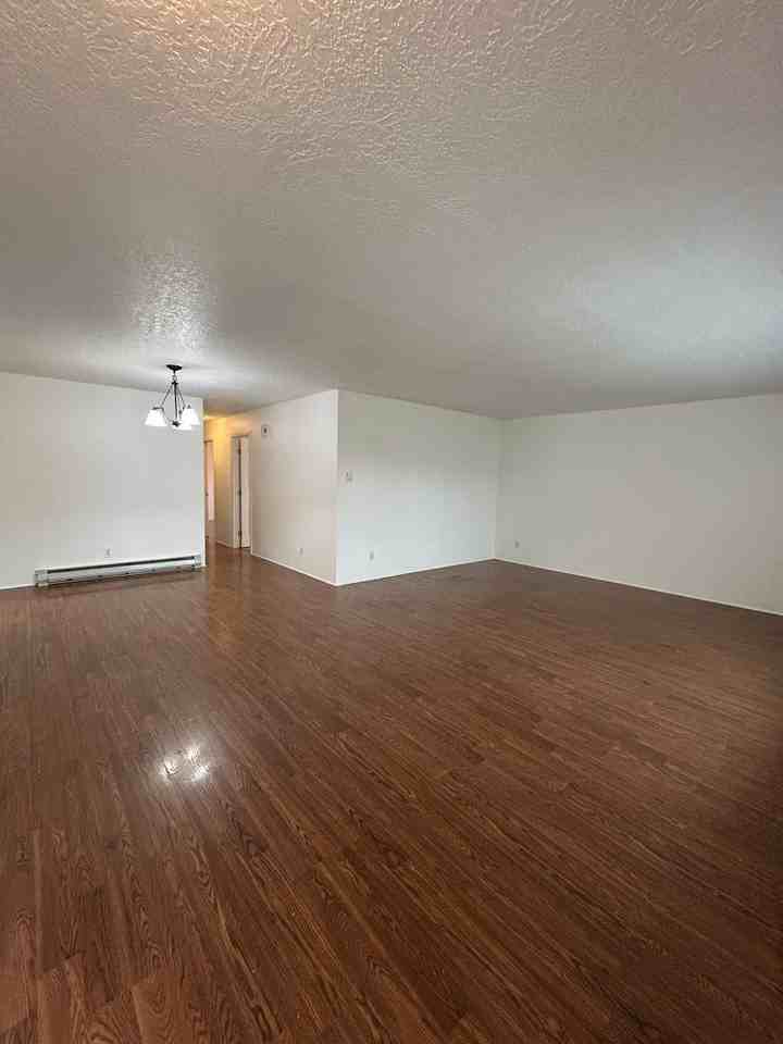 2329 Jennifer Pl - Photo 2 of 18