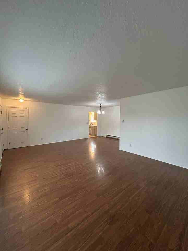 2329 Jennifer Pl - Photo 3 of 18