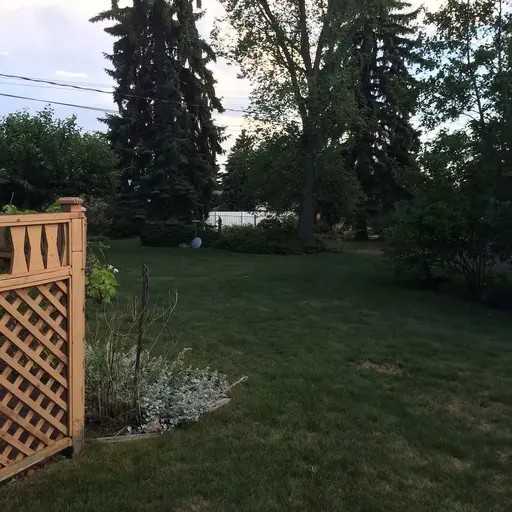 9504 69a St Nw - Photo 2 of 17