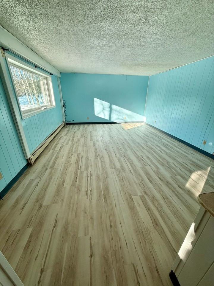 2641 Steese Hwy - Photo 3 of 12