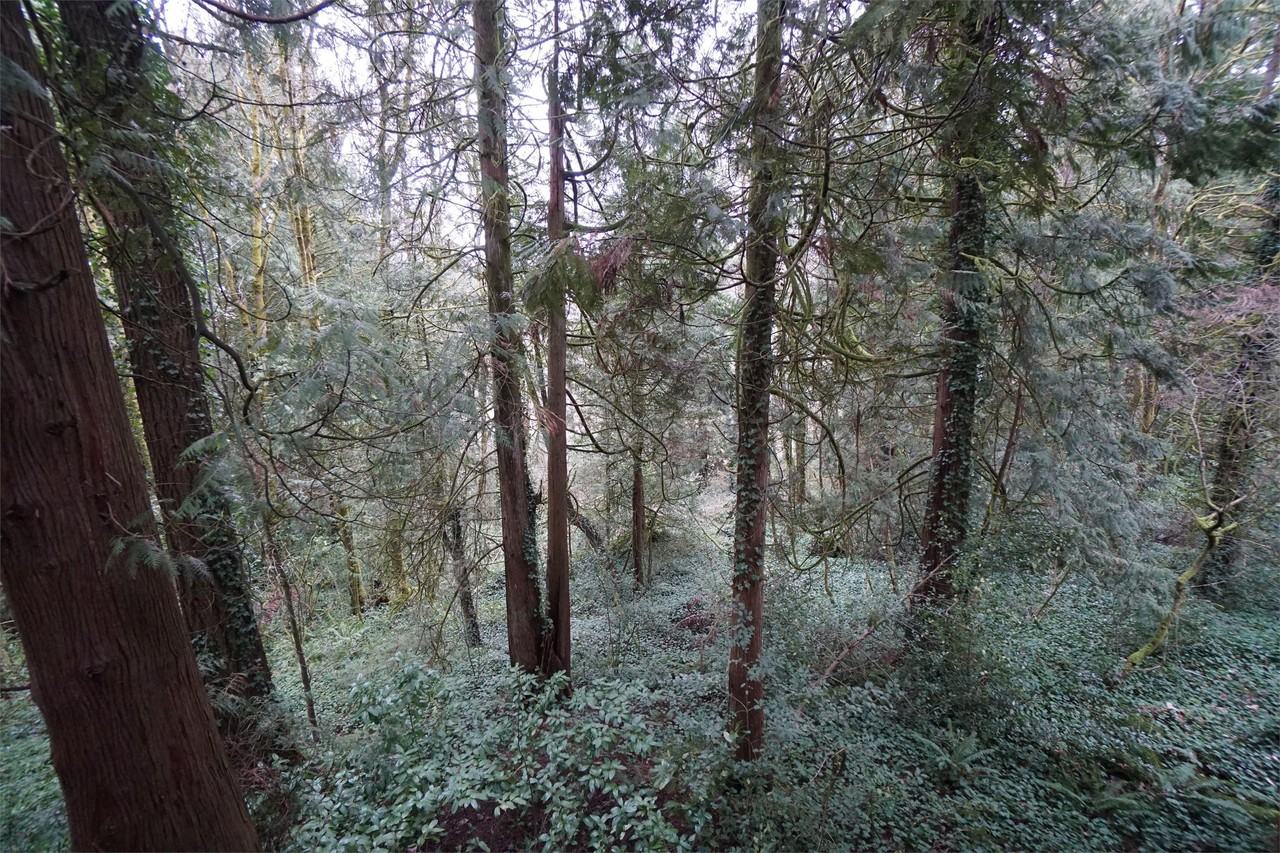 Multnomah Woods - Photo 4 of 49