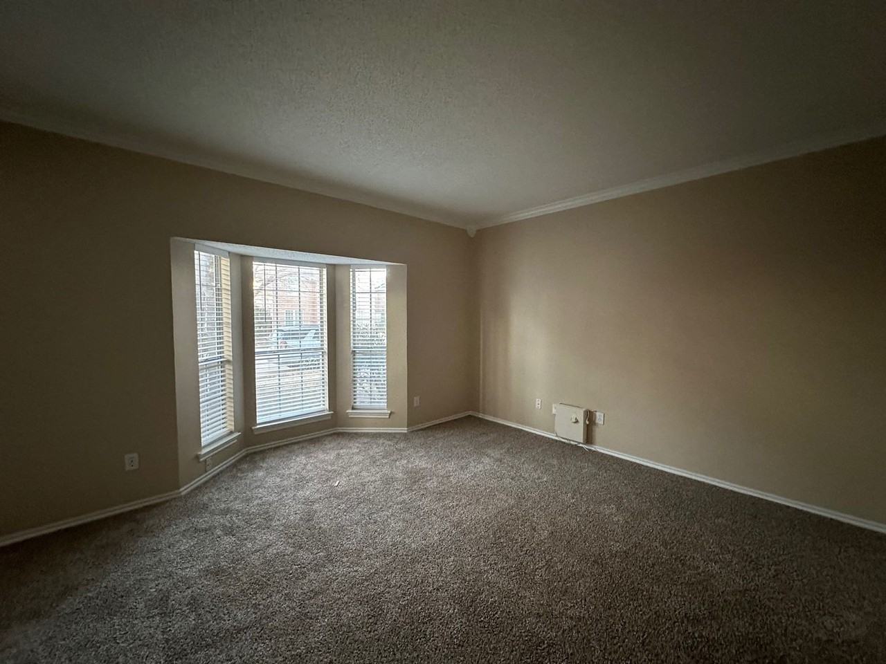 706 Willow Oak St - Photo 2 of 21