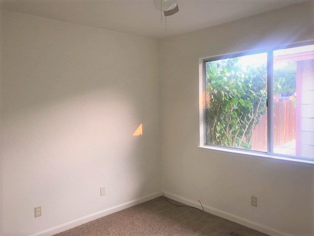 10023 Humite Ln - Photo 3 of 5