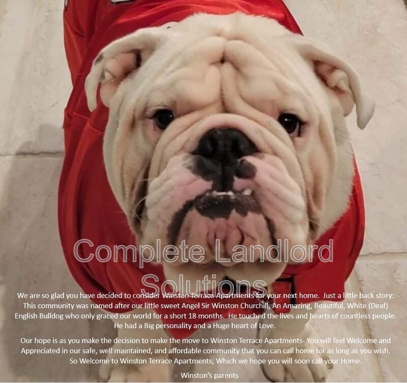 4295 S Kian St - Photo 3 of 12