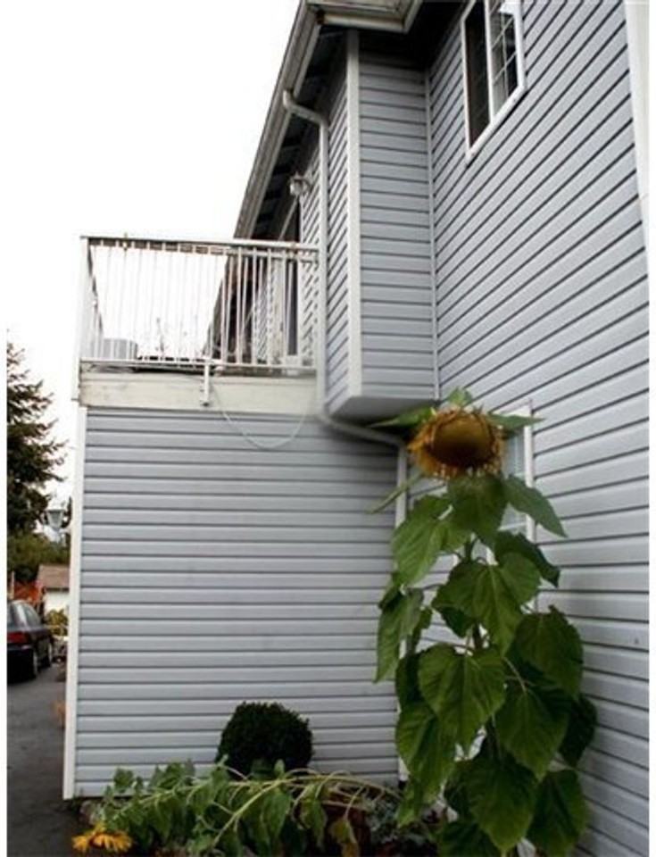 1121 Humboldt St - Photo 3 of 24