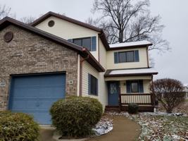 featured image of Bloomington Street