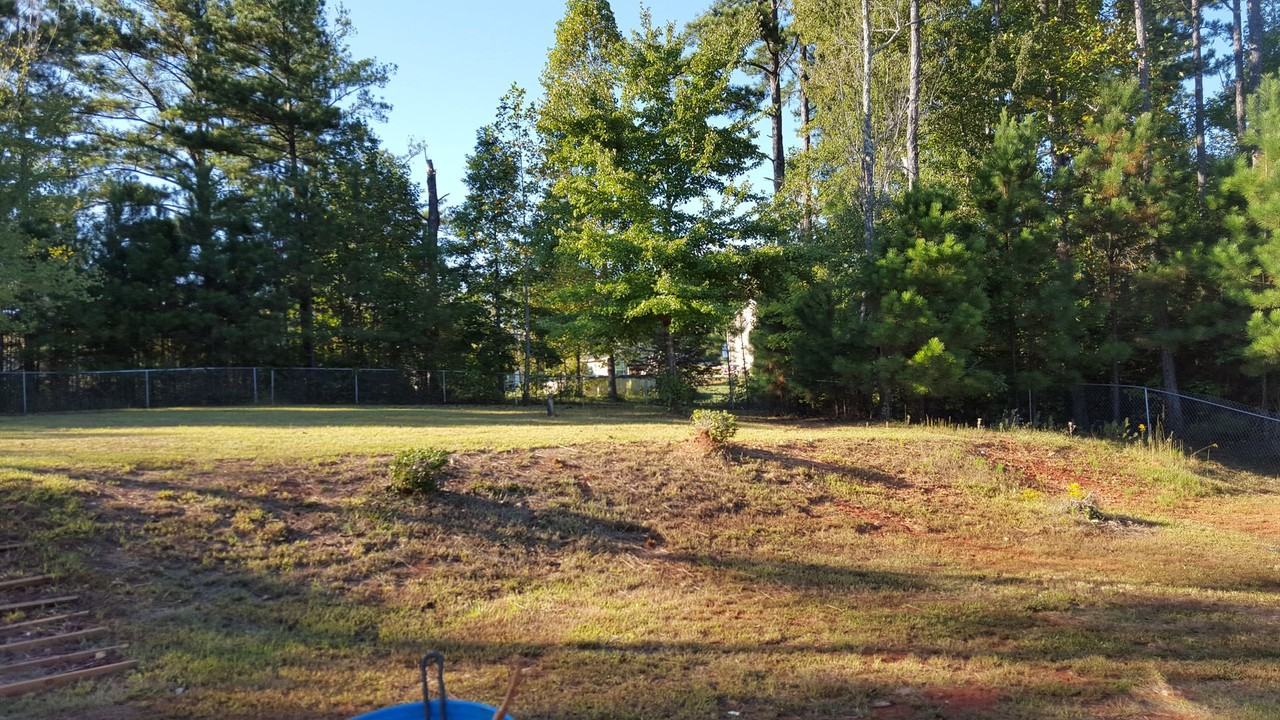 246 Carthage Blvd - Photo 2 of 10