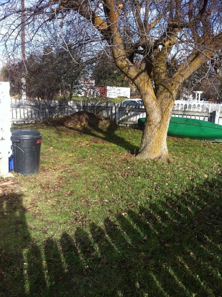 914 East 1st Avenue - Photo 5 of 13