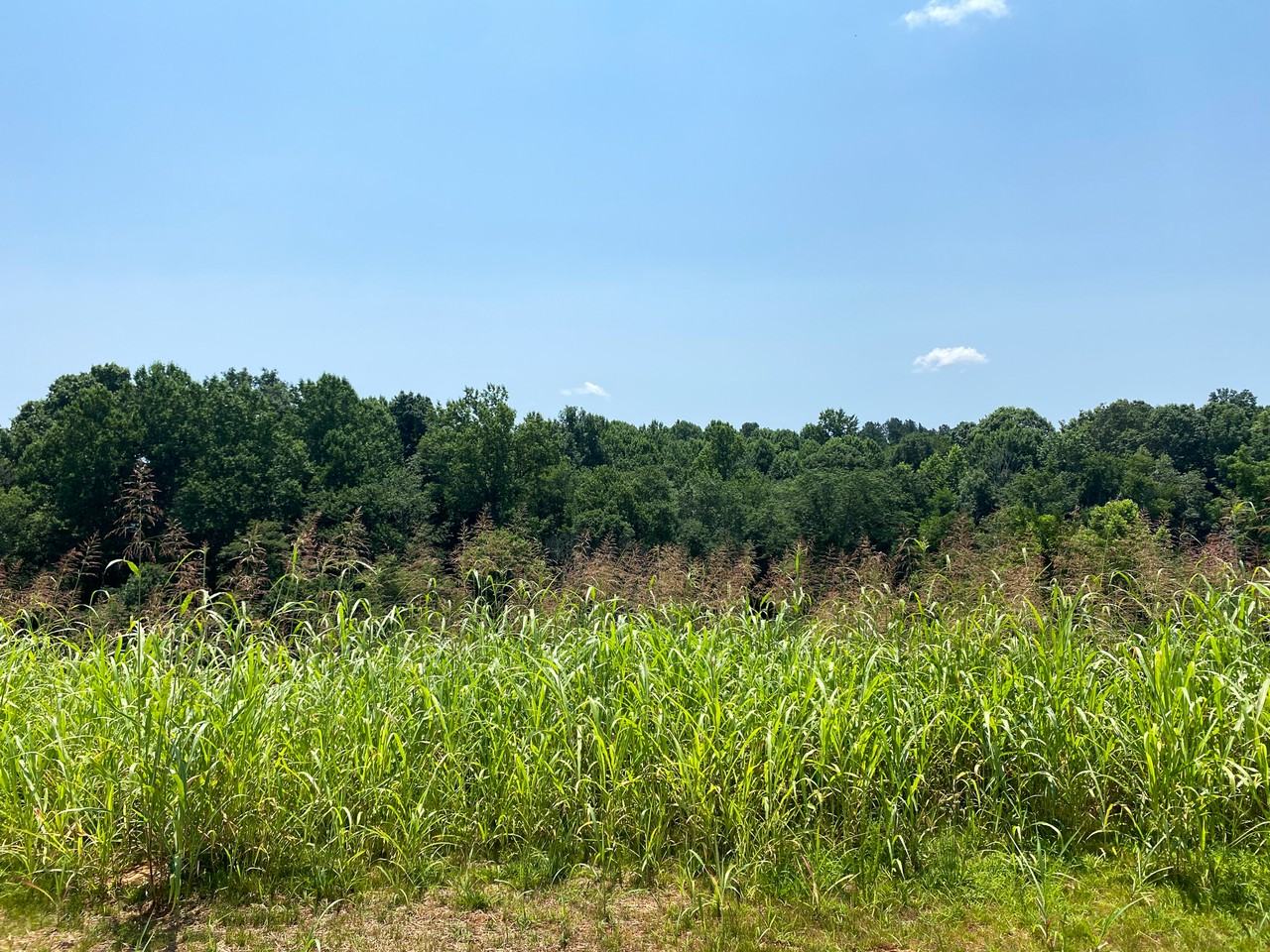 1031 Ridgestone Ct #1 - Photo 3 of 50