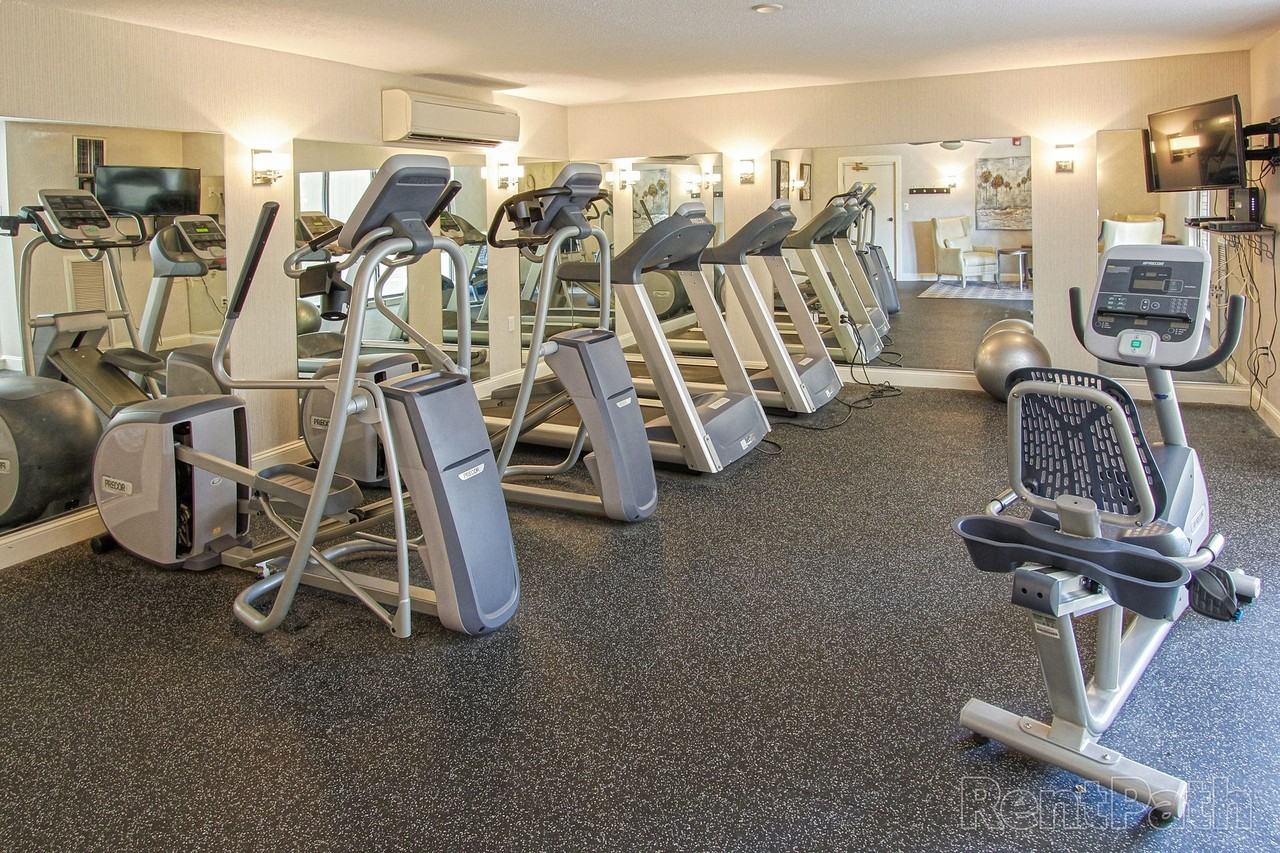 Chestnut Hill South - Photo 3 of 16