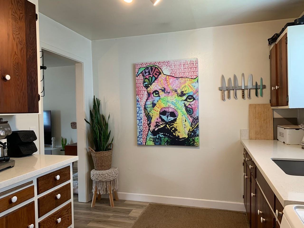 315 34th Ave - Photo 5 of 16