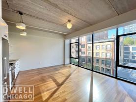 676 N La Salle Dr #209 - Photo 1 of 1
