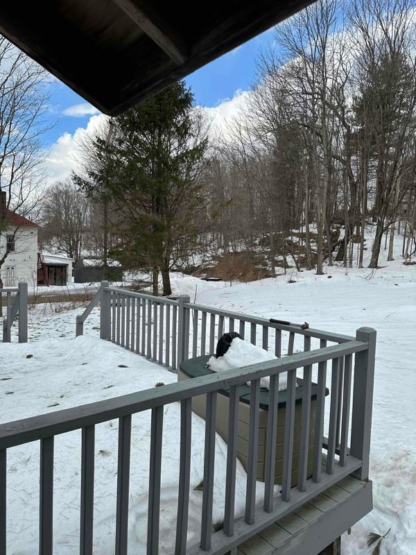 347 Maple St - Photo 4 of 37