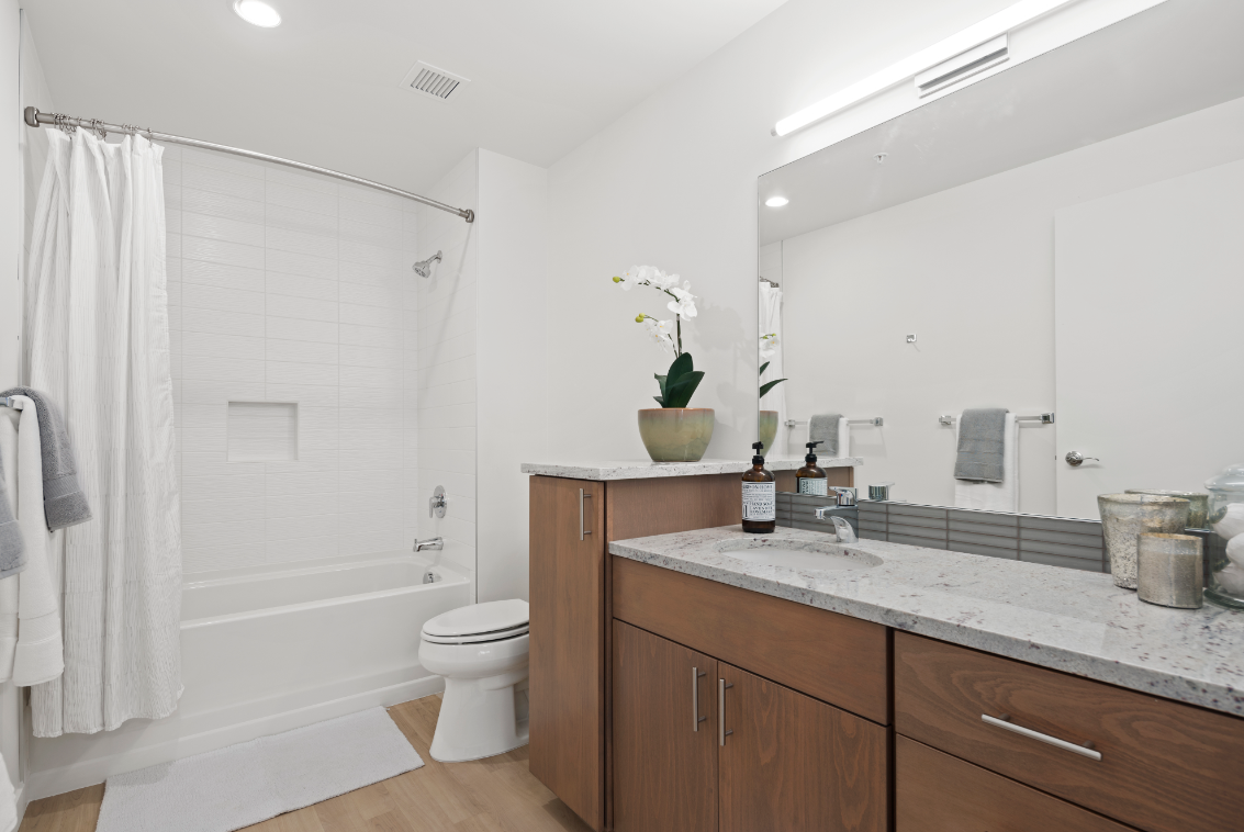 The M Apartments - Photo 7 of 11