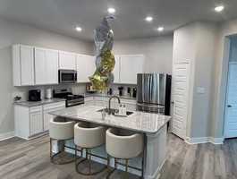 featured image of Baja Ln