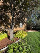 Swedish Plaza - Photo 1 of 1