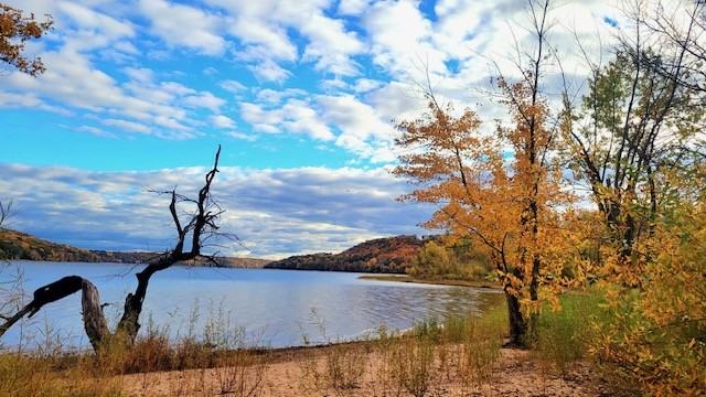 3411 Saint Croix Trl S #1 - Photo 7 of 32