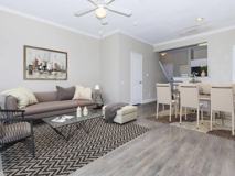 Summit at Benavides Park - Photo 1 of 1