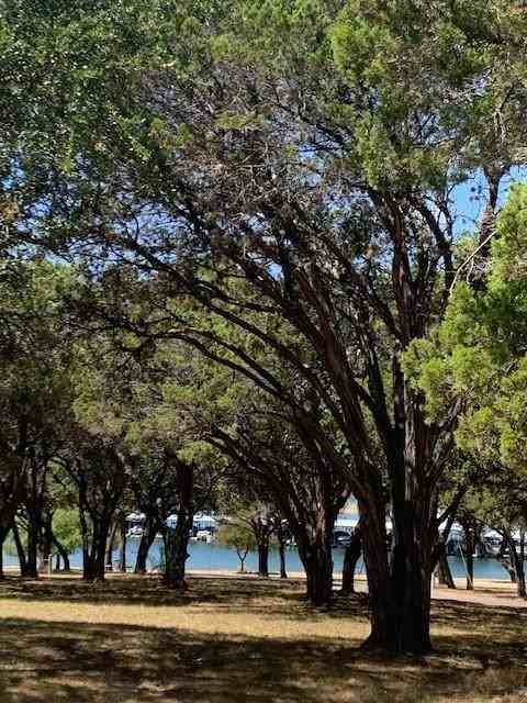 7202 Crossbow Trl #NA - Photo 5 of 21