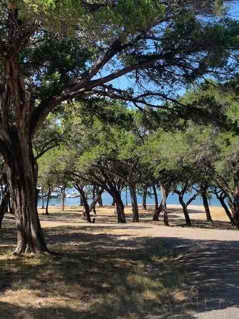 7202 Crossbow Trl #NA - Photo 6 of 21