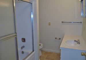 Bush Arcade - Little - Photo 1 of 1