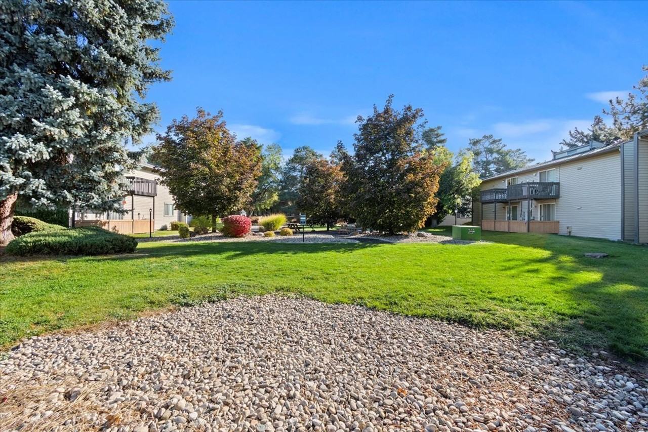 Juniper West - Photo 5 of 42