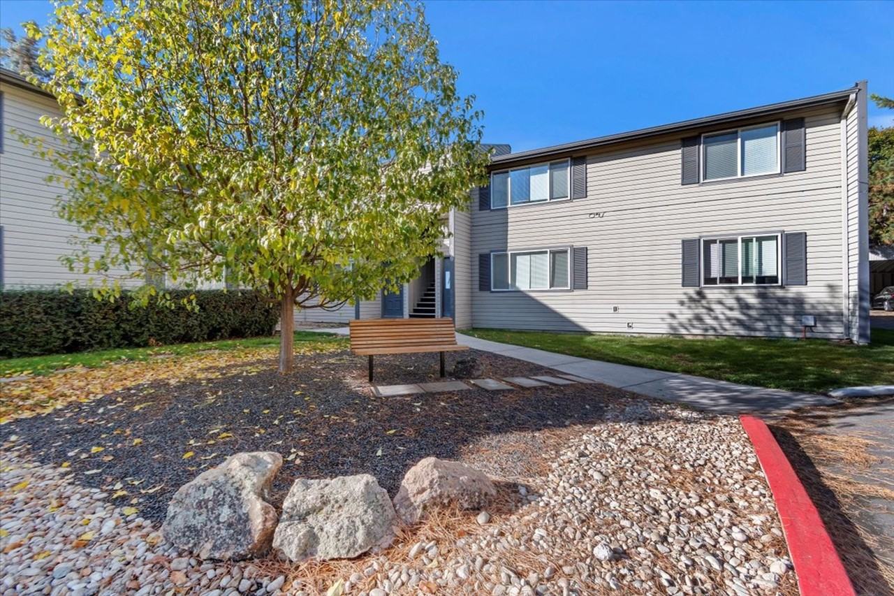 Juniper West - Photo 6 of 42