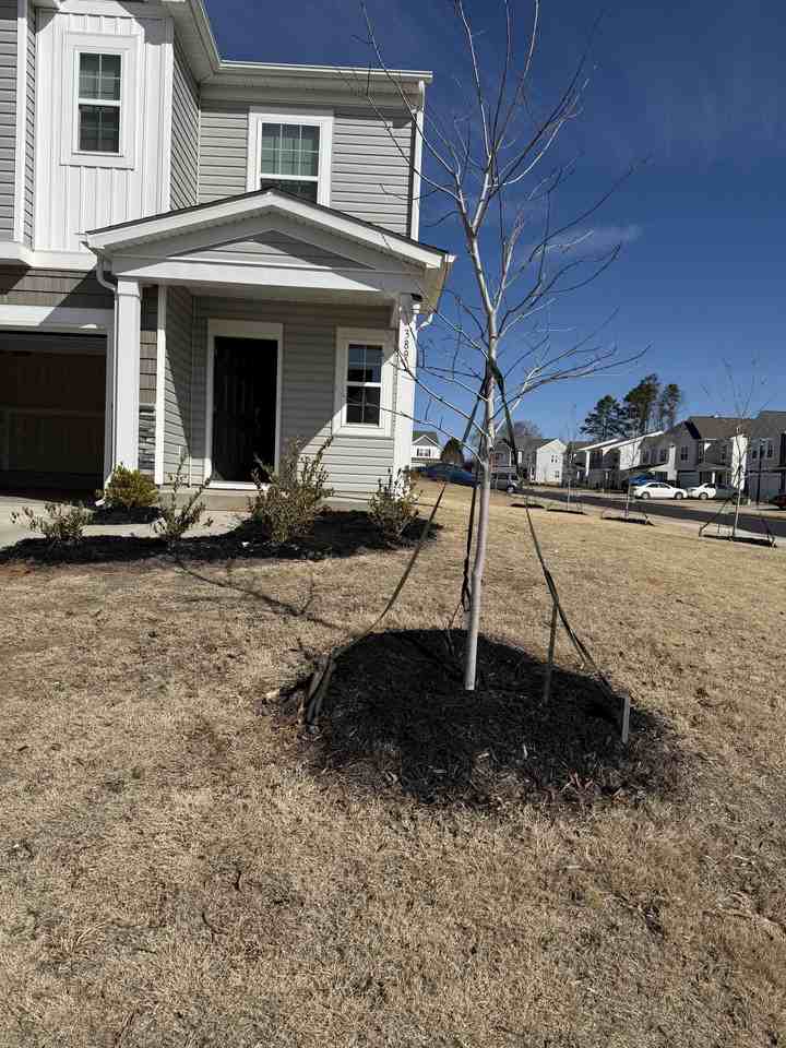 389 Hollingswood Dr #NA - Photo 2 of 17